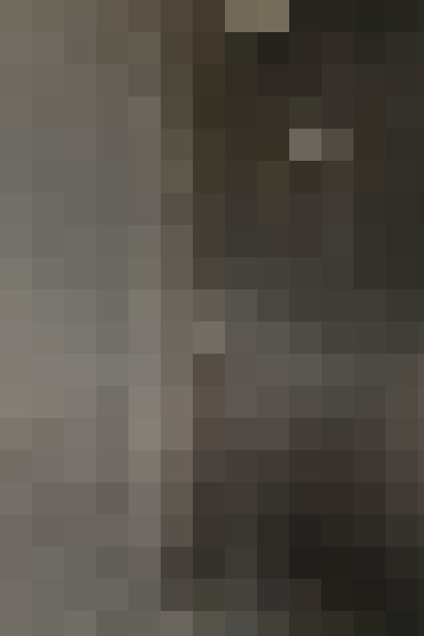  / #15