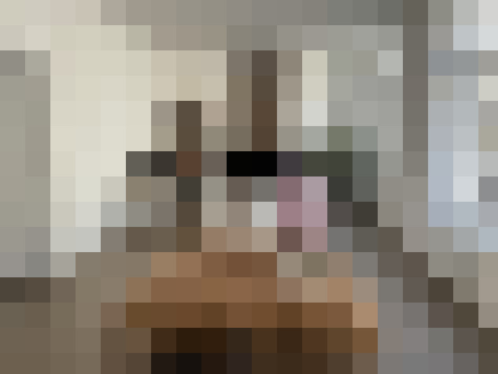  / #7