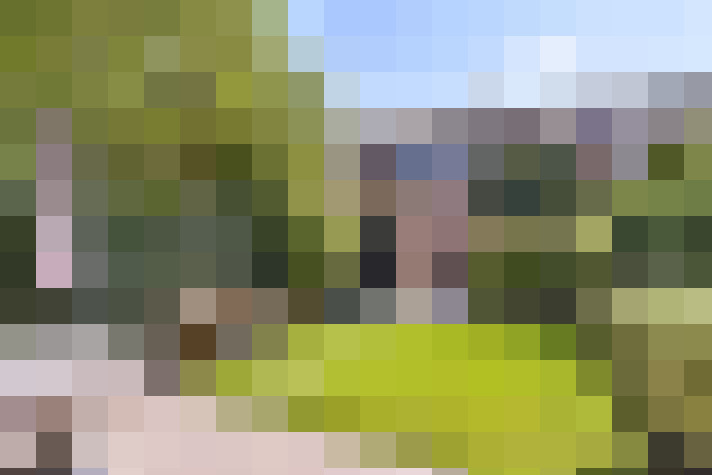  / #7