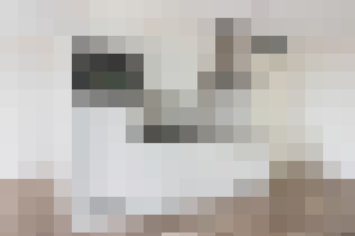  / #19