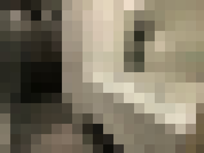  / #25