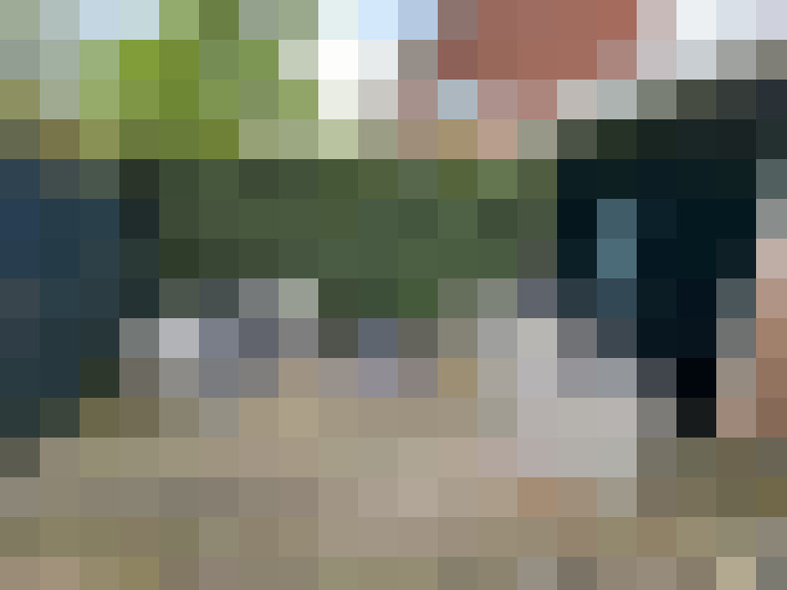  / #15