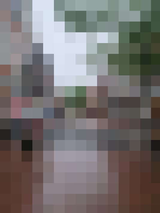  / #14