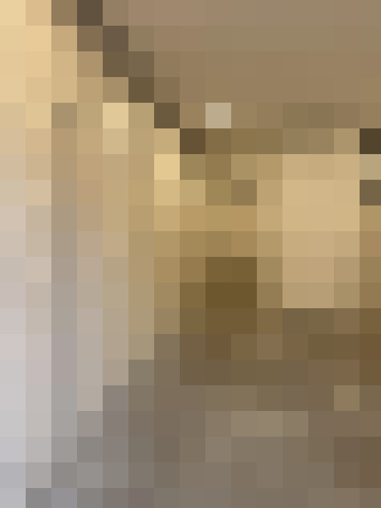  / #15