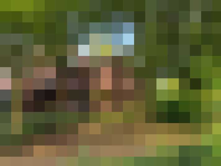  / #12