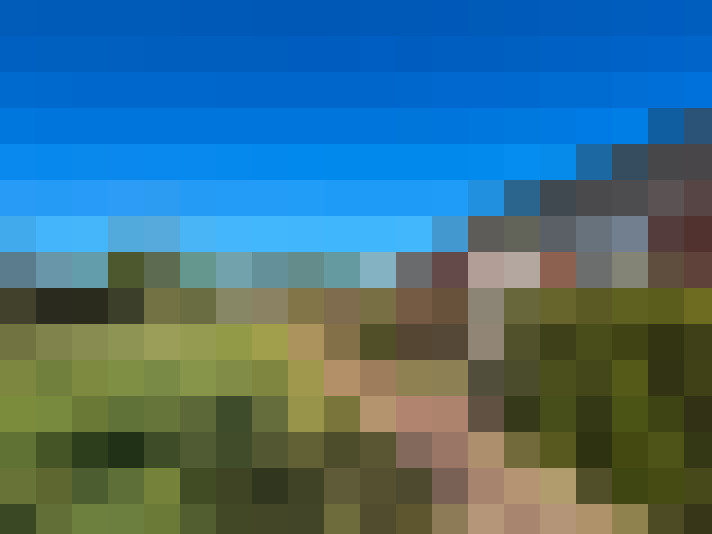  / #19