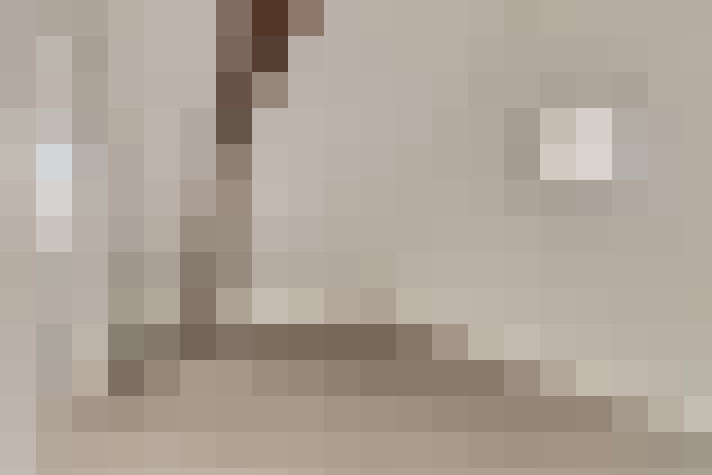  / #11