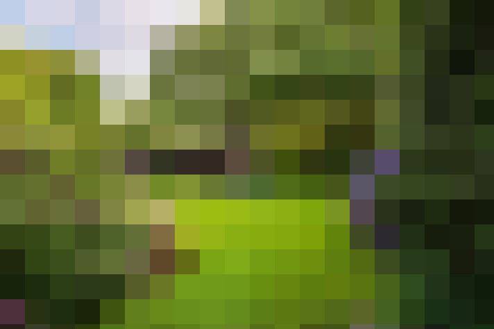  / #49