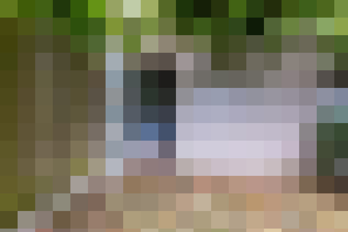  / #51