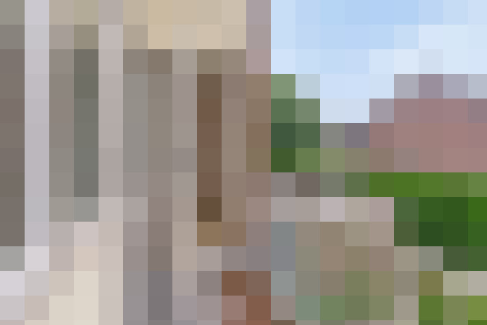 / #23