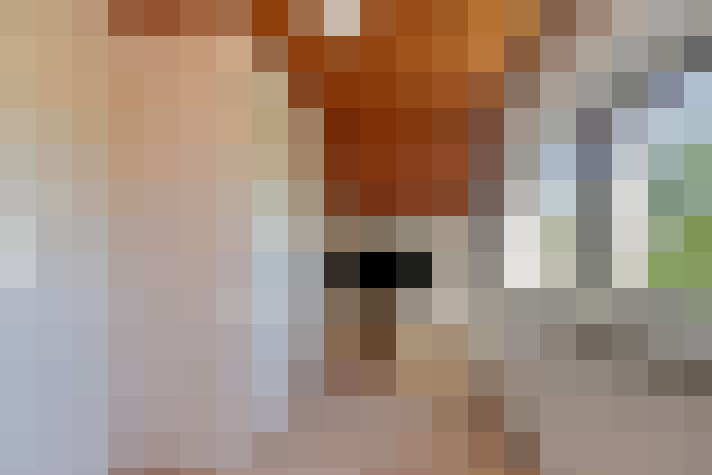  / #24