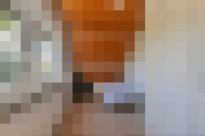  / #23
