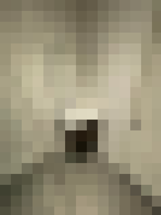 / #10