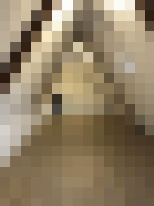  / #14