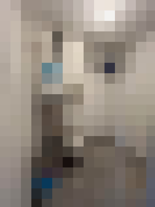  / #15