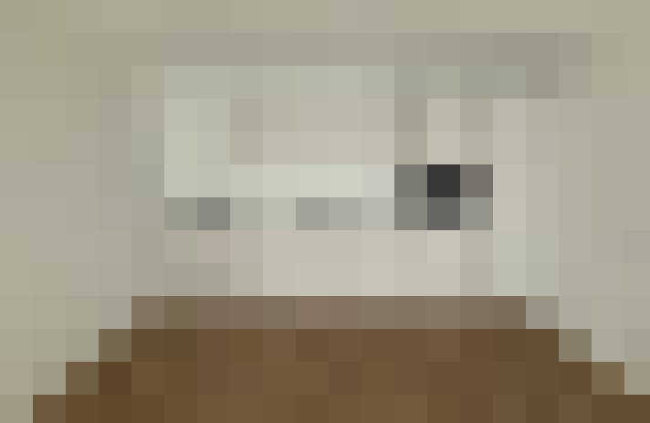  / #21