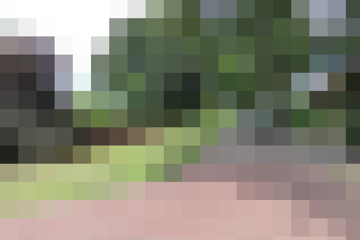  / #16