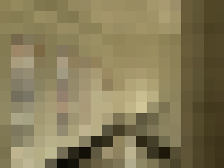  / #11