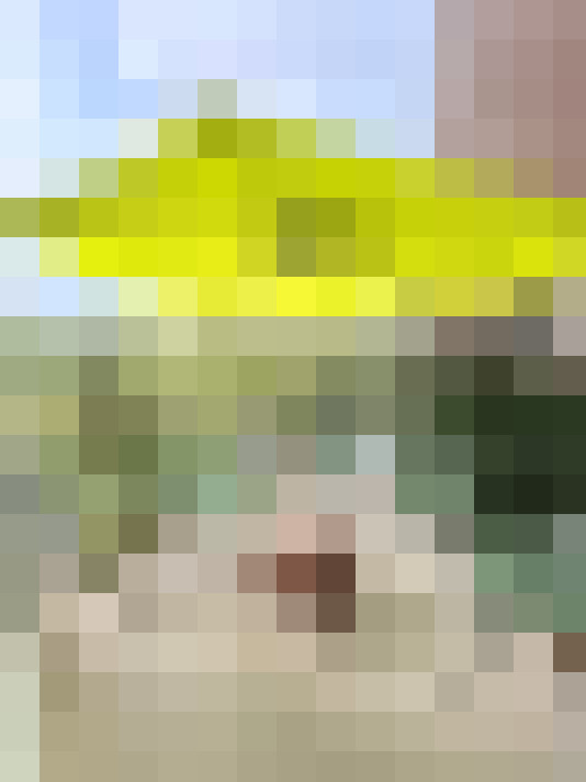  / #19