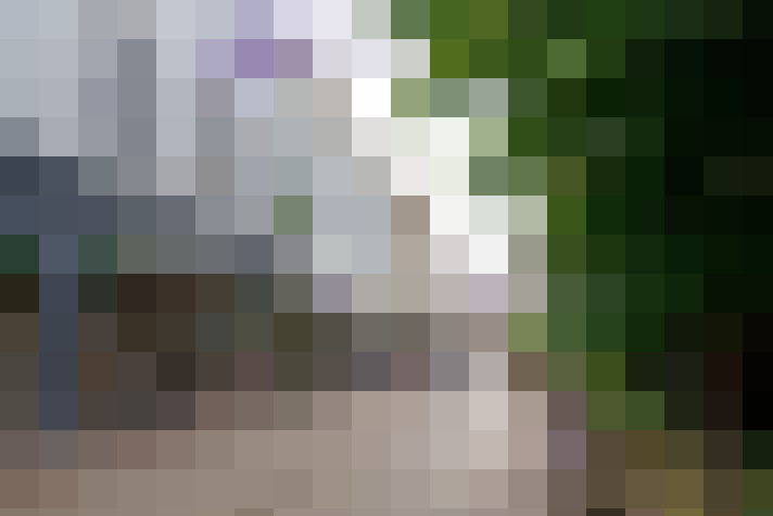 / #14