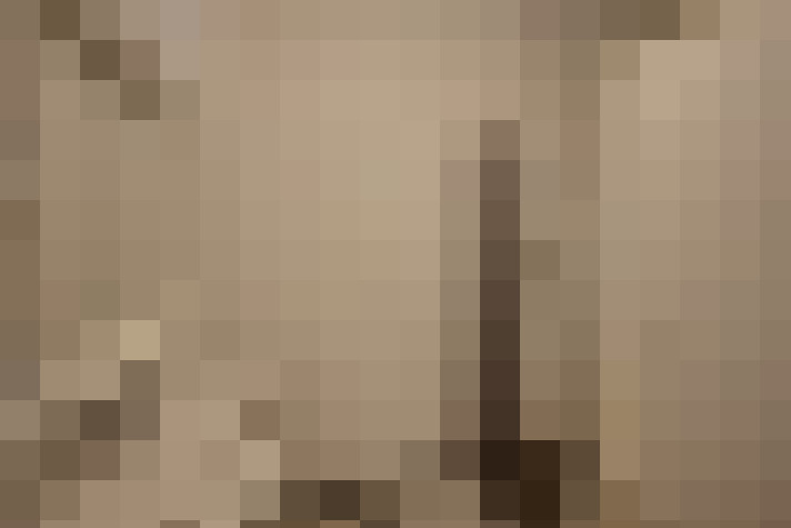  / #11
