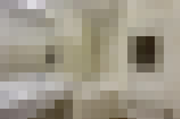  / #16