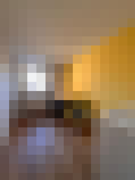  / #15