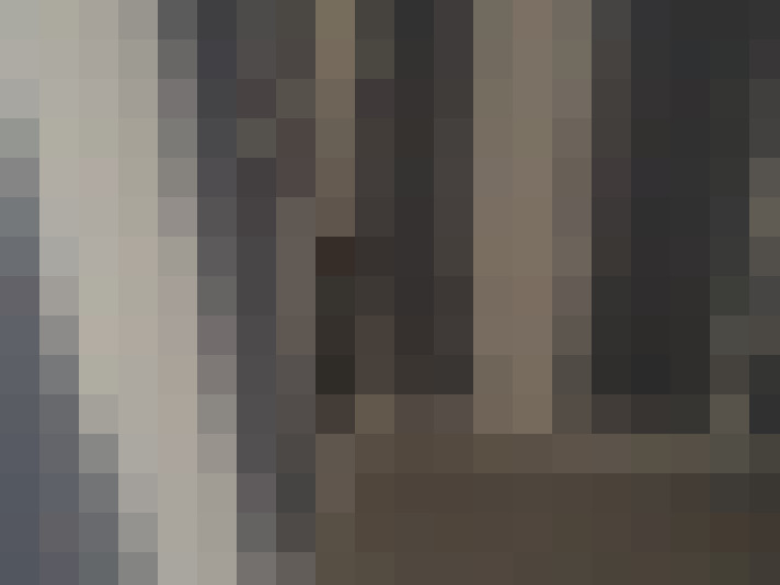  / #20