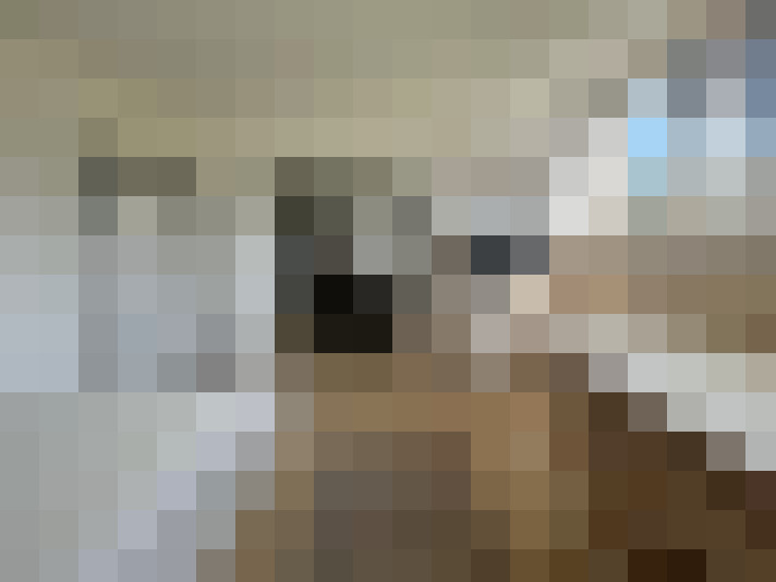  / #13