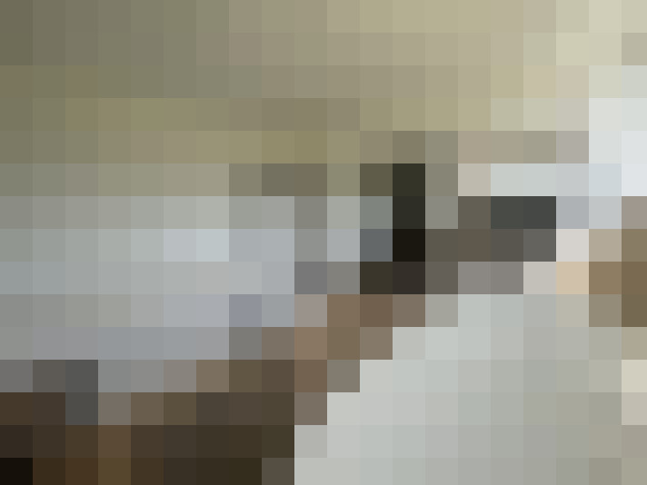  / #14