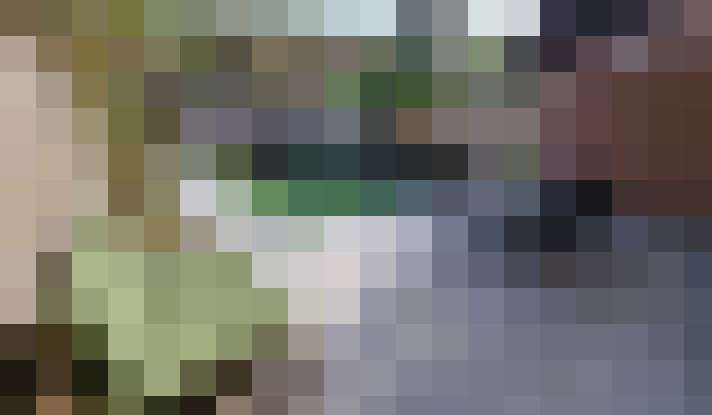  / #19