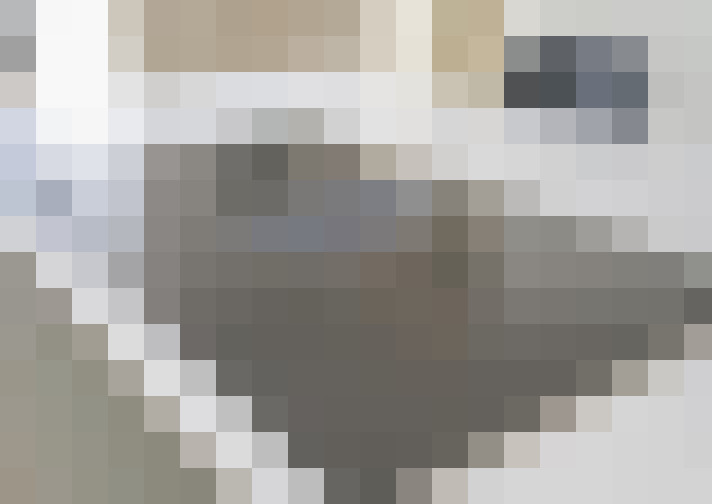  / #13