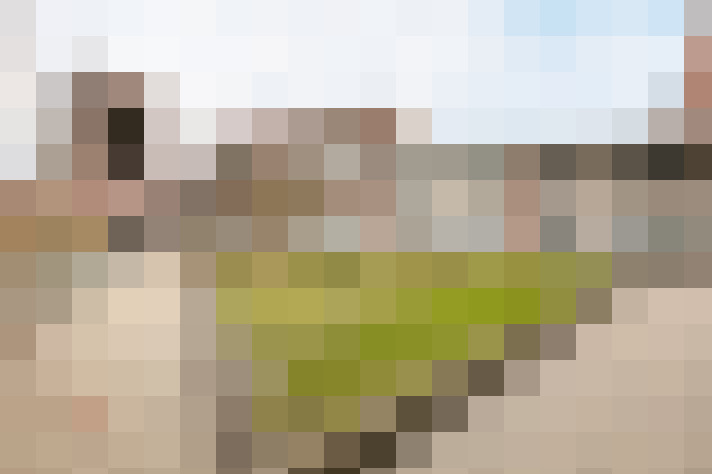  / #7