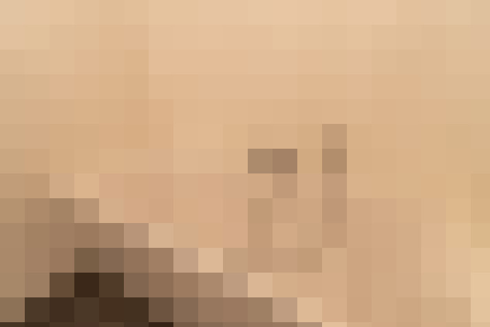  / #26