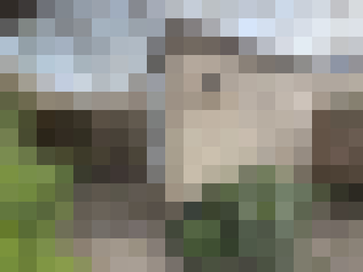  / #52