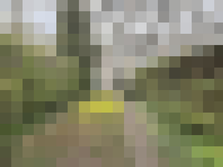  / #54