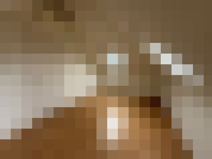  / #23