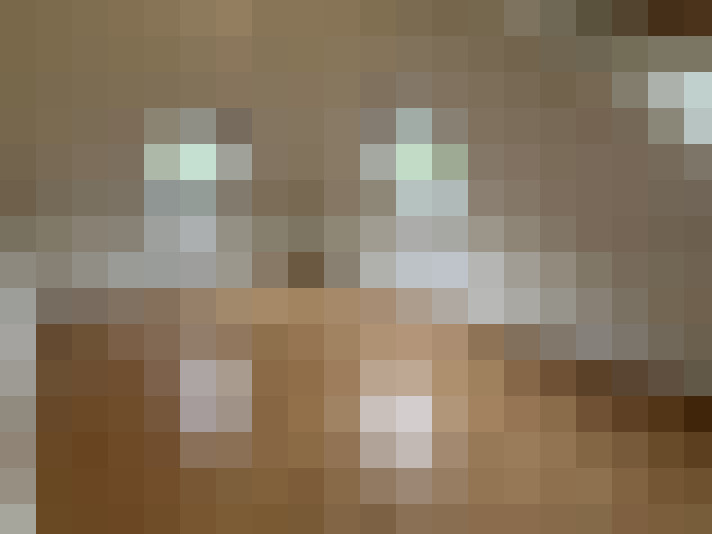  / #19