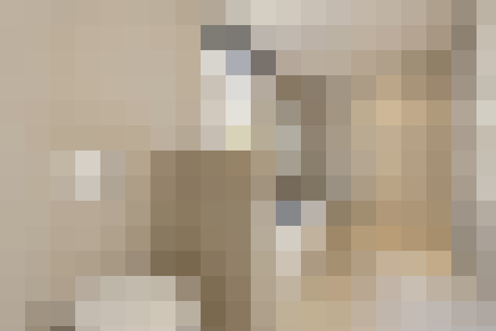  / #26