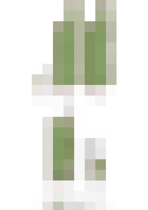  / #36