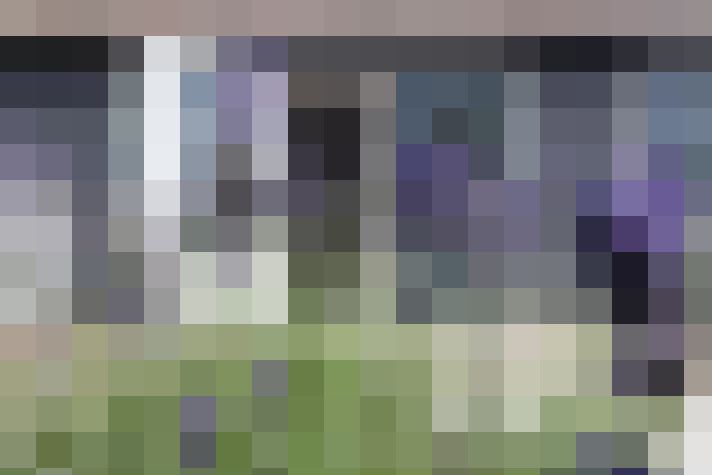  / #13