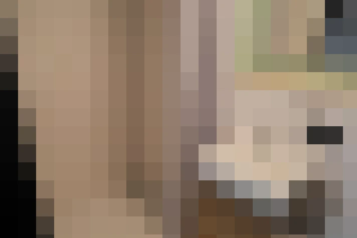  / #7