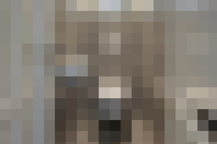  / #14