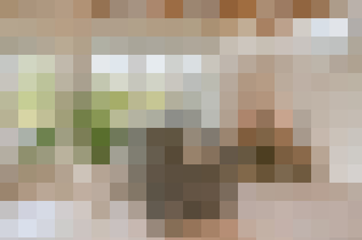  / #15