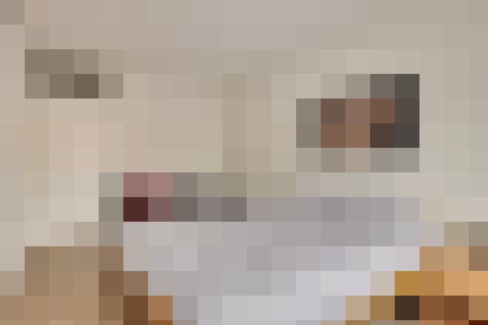  / #15