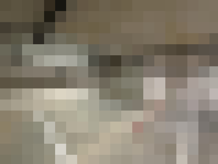  / #23