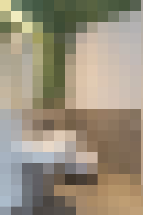  / #19