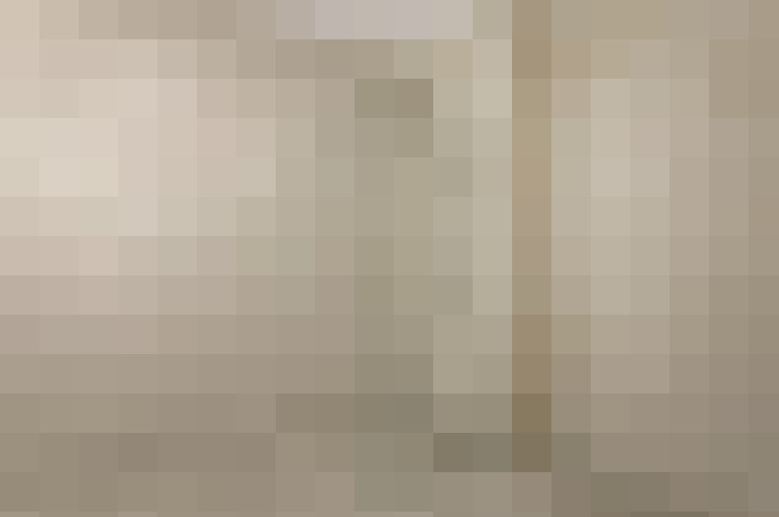  / #11