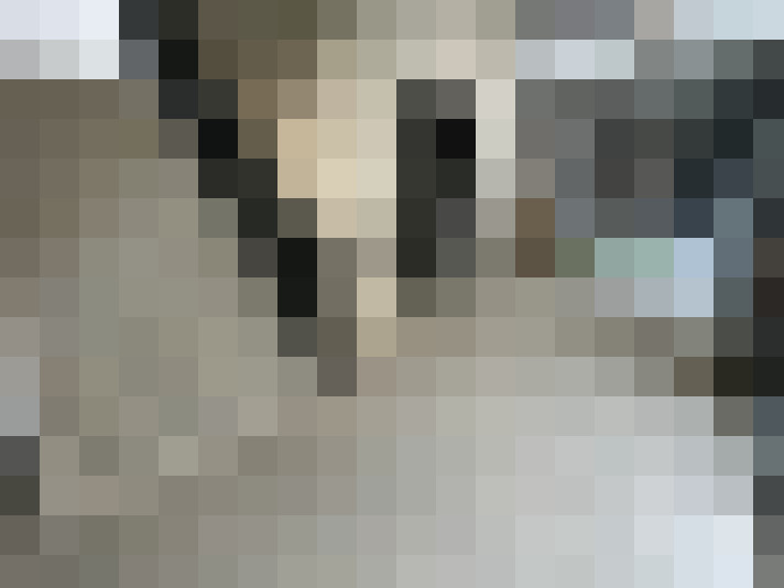  / #14