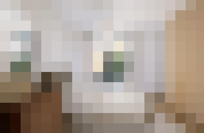  / #23